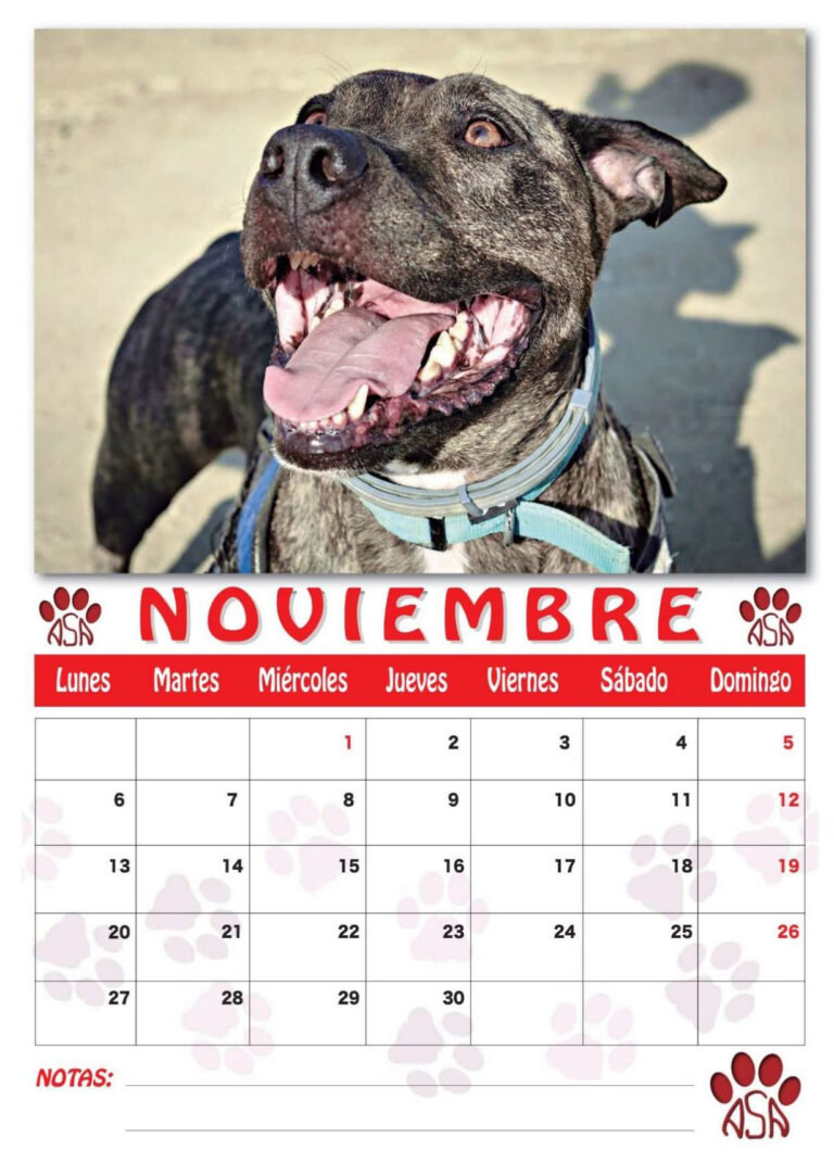 NOVIEMBRE CALENARIO 2023